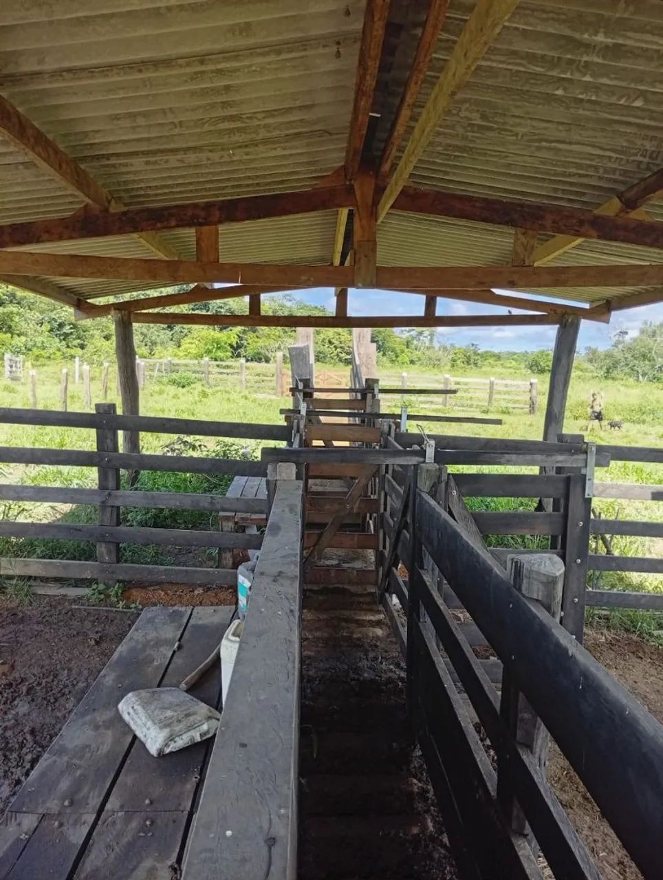 Vendo terra próximo a Parauapebas! - Foto 3