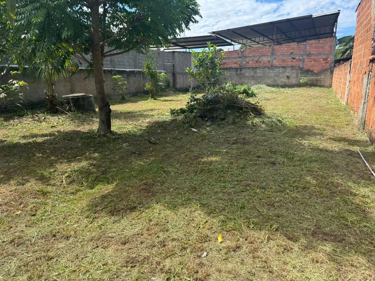 Terreno plano e murado  - Foto 4