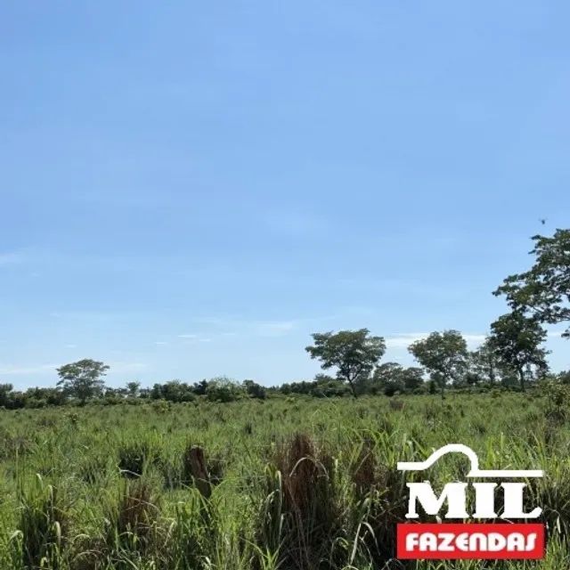 1080 Alq. (5.228 HÁ) Cocalinho -MT - Foto 3