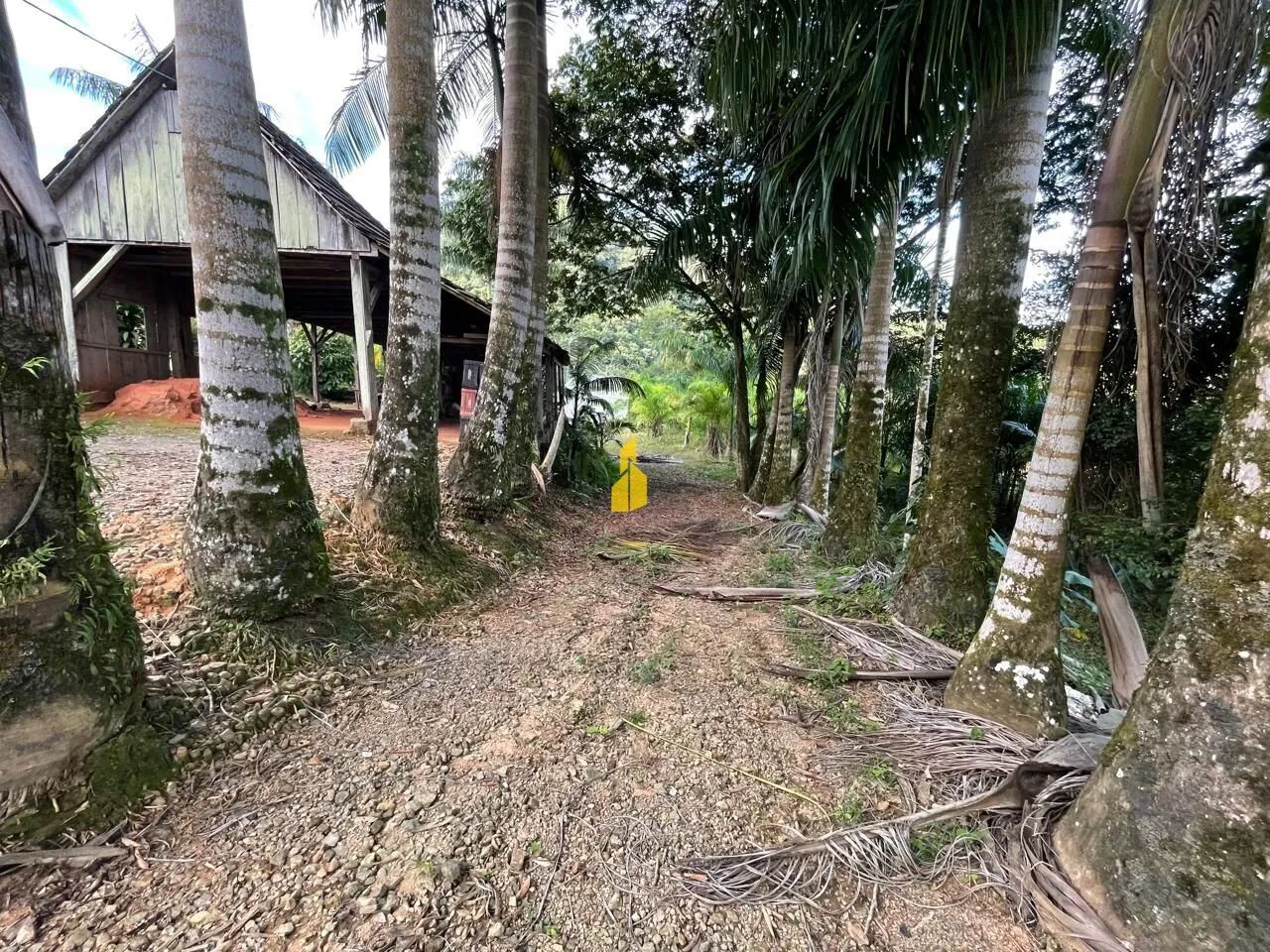 SÍTIO À VENDA EM SÃO BERNARDO  Rio dos Cedros - Foto 3