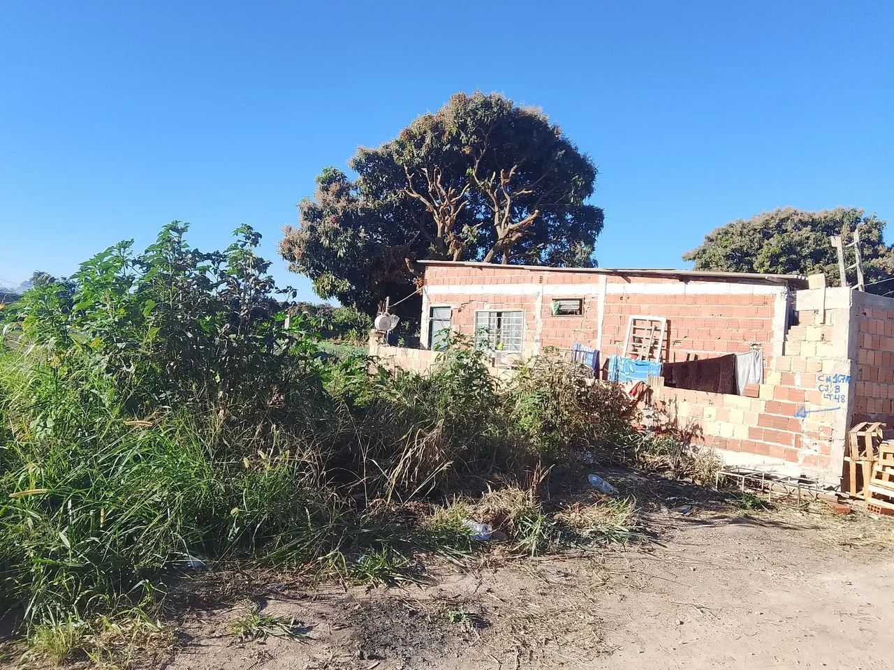 Lote  - Foto 4