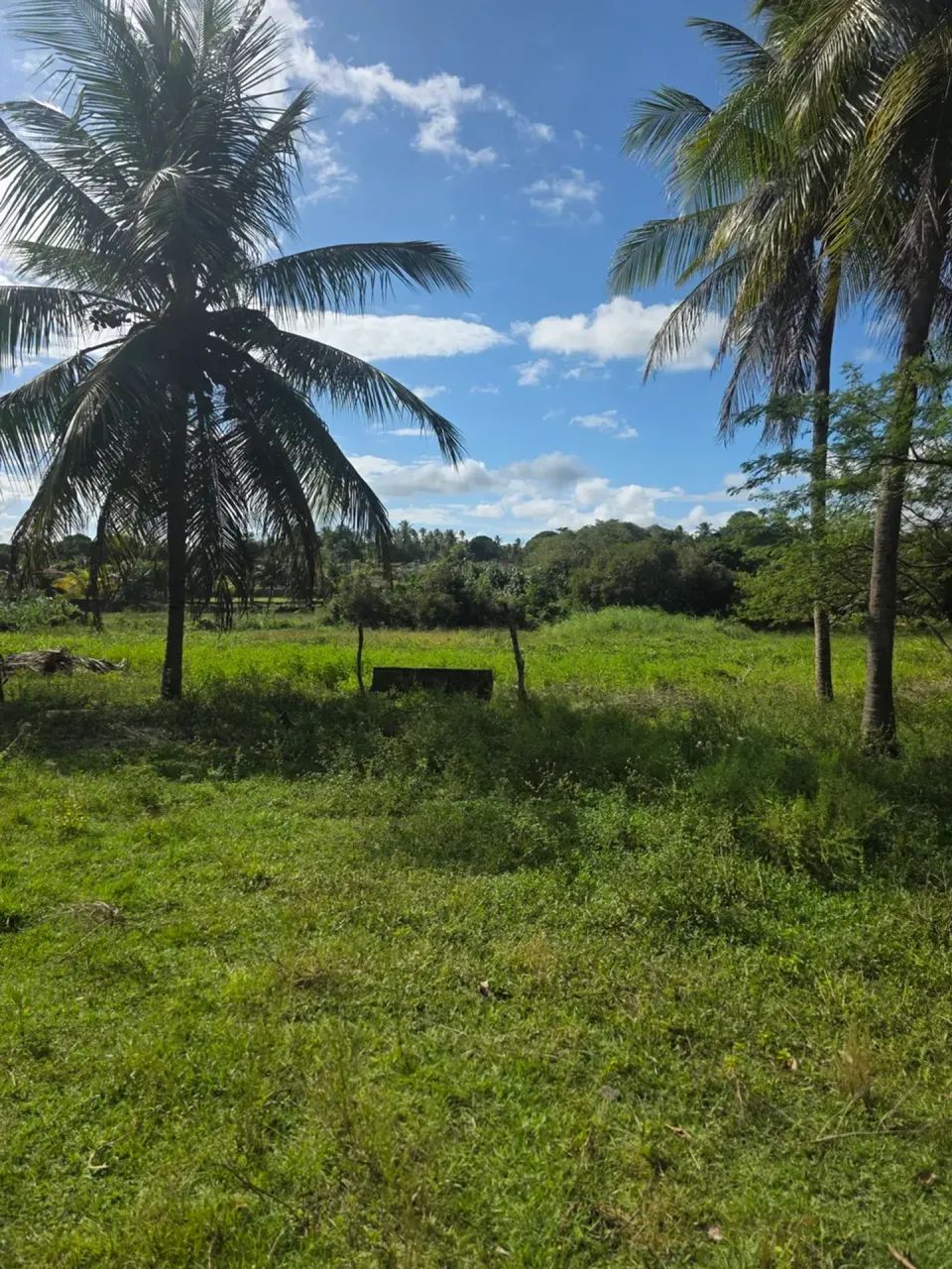 granja com 1.5 hectares com 2 casas com rio perene  com excelente localização - Foto 5
