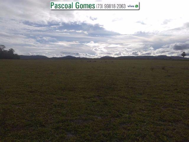 95 % Plana, Prado, Bahia - Foto 5