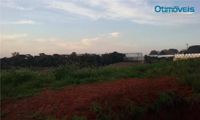 Área à venda, colônia zacarias, são josé dos pinhais - ar0002. - Foto 13