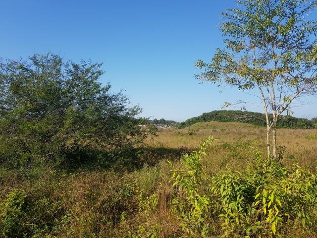Área industrial de frente para a BR101 em Pirabeiraba - Foto 17