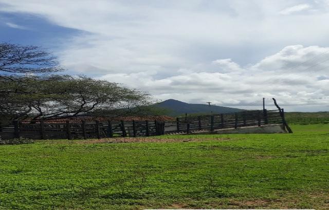 Fazenda Fernando Pedrosa, 489 Hectares, Escriturada, 7km Rio Pajeú, Açude, Casa Sede - Foto 9