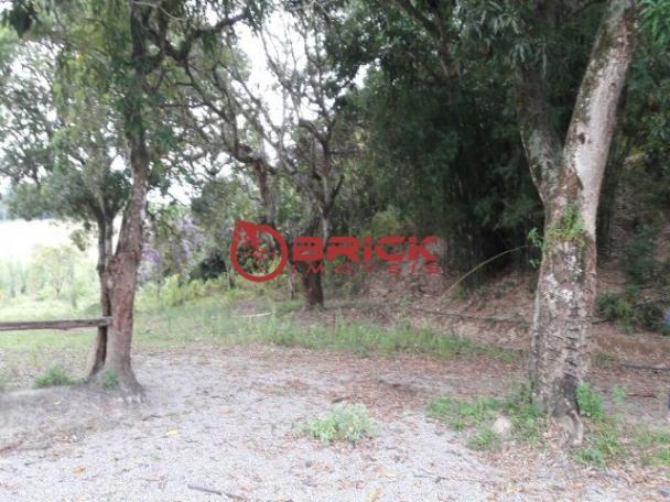 Terreno com 40.000m² e com 5.000 pés de eucalipto em papucaia - Foto 10