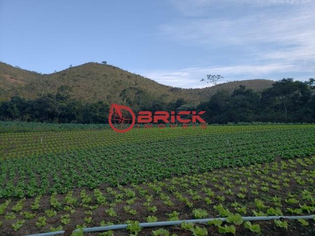 Maravilhosa fazenda com excelente potencial comercial em albuquerque. - Foto 19