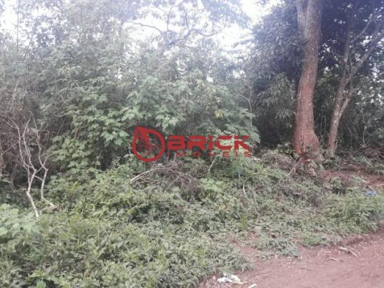 Terreno com mais de 3.000 m² no alto, teresópolis/rj - Foto 7