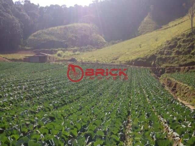 Sítio, com grande área de verde e aberta para plantação. - Foto 4