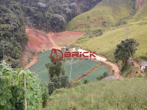 Sítio, com grande área de verde e aberta para plantação. - Foto 6