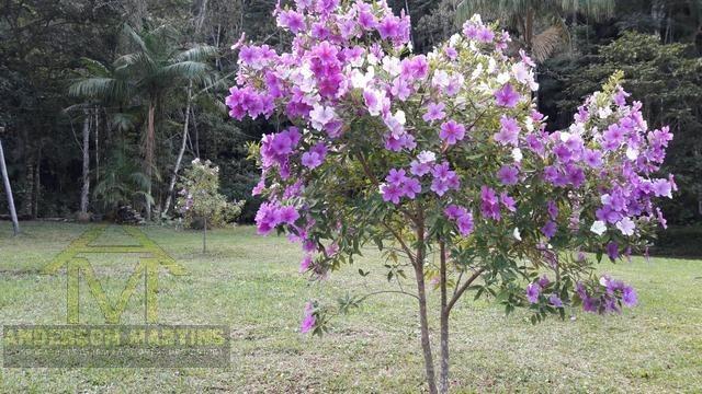 Chácara à venda em Vitor hugo, Domingos martins cod:7506 - Foto 20