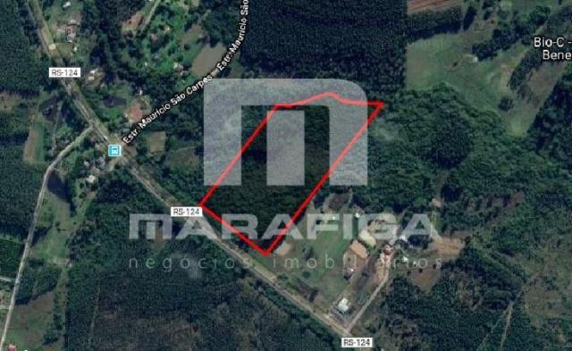 Terreno à venda em Potreiro grande, Montenegro cod:6260