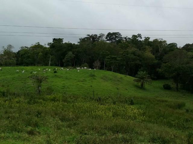 Casas, Sitio, fazenda e terrenos