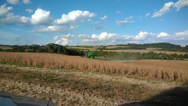 234 Hectares - 97 Alqueires - Planta 52 Alqueires - Palmeira - Foto 11