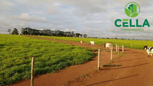 Fazendas para Pecuária no Tocantins / A partir de R$ 1.500,00 por Hectare - Foto 2