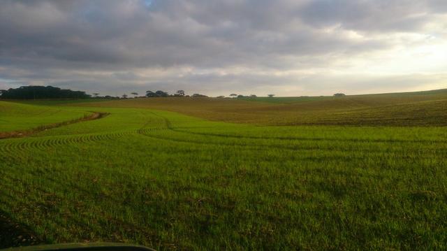 580 Hectares - 240 Alqueires - Fazenda Sede - Lapa - Foto 11