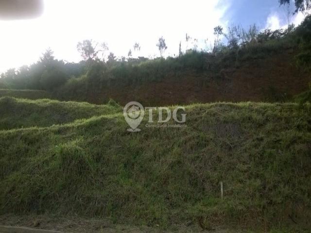 Loteamento/condomínio à venda em Vargem grande, Teresópolis cod:TE00005 - Foto 14