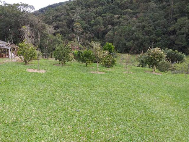 Linda chácara com casa boa e lago em Anitápolis - Foto 6