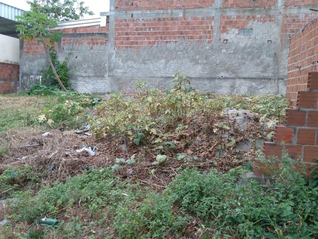 Terreno em ouro preto - Foto 5