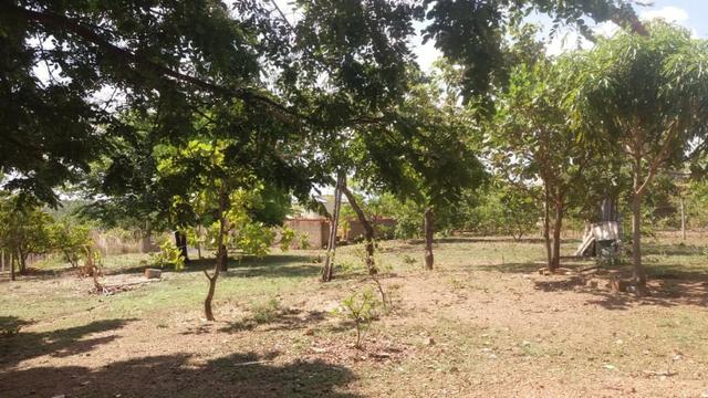 Vendo uma linda chácara corumbá 4 - Foto 9