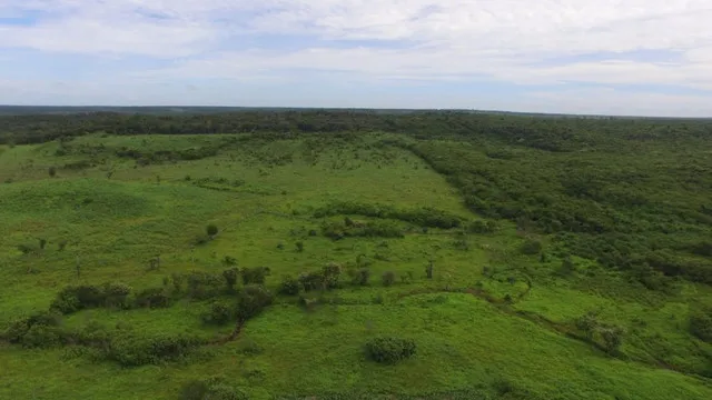 Fazenda em Piracuruca-PI