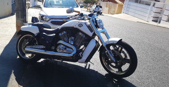 Harley Davidson V-Rod Muscle Impecável 15 Mil em Acessórios Baixo KM - Foto 8