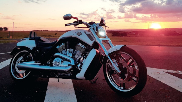 Harley Davidson V-Rod Muscle Impecável 15 Mil em Acessórios Baixo KM - Foto 2