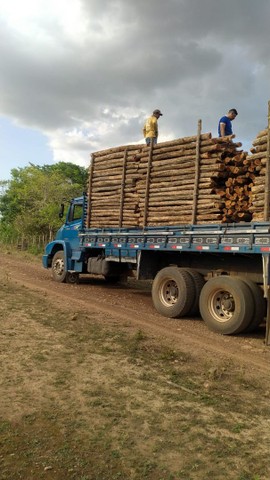 VENDO ESTACAS SABIÁ/ESTICADORES   - Foto 3