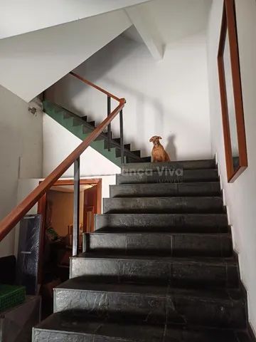 Laranjeiras | Casa 8 quartos, sendo 2 suites - Foto 4
