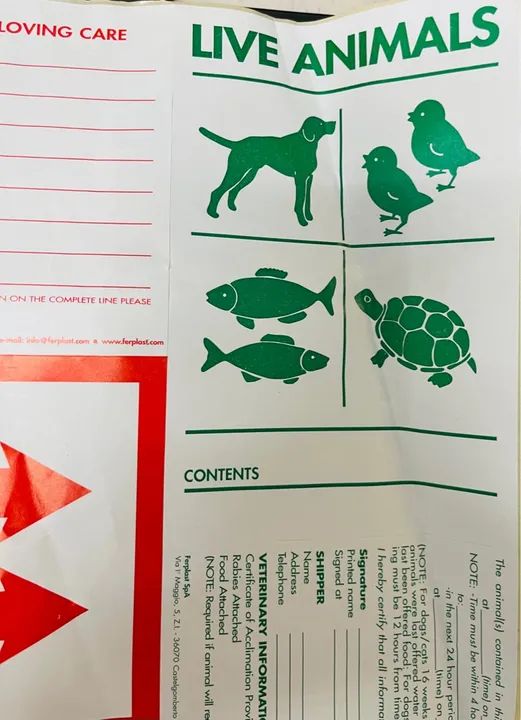 Casinha Casa Caixa Transporte Pet - Foto 3