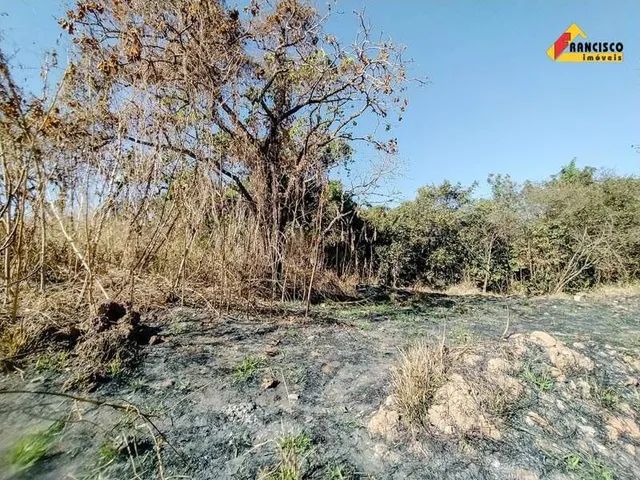 Lote à venda, Santos Dumont - Divinópolis/MG - Foto 5