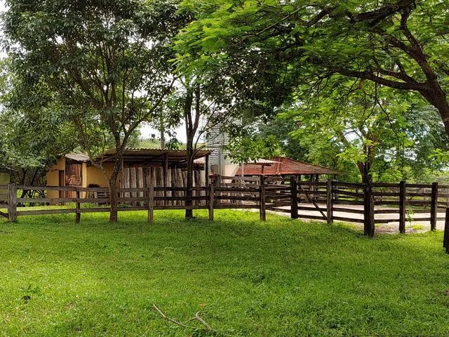 Fazenda 75 Alqueires - Dupla Aptidão  - Foto 5