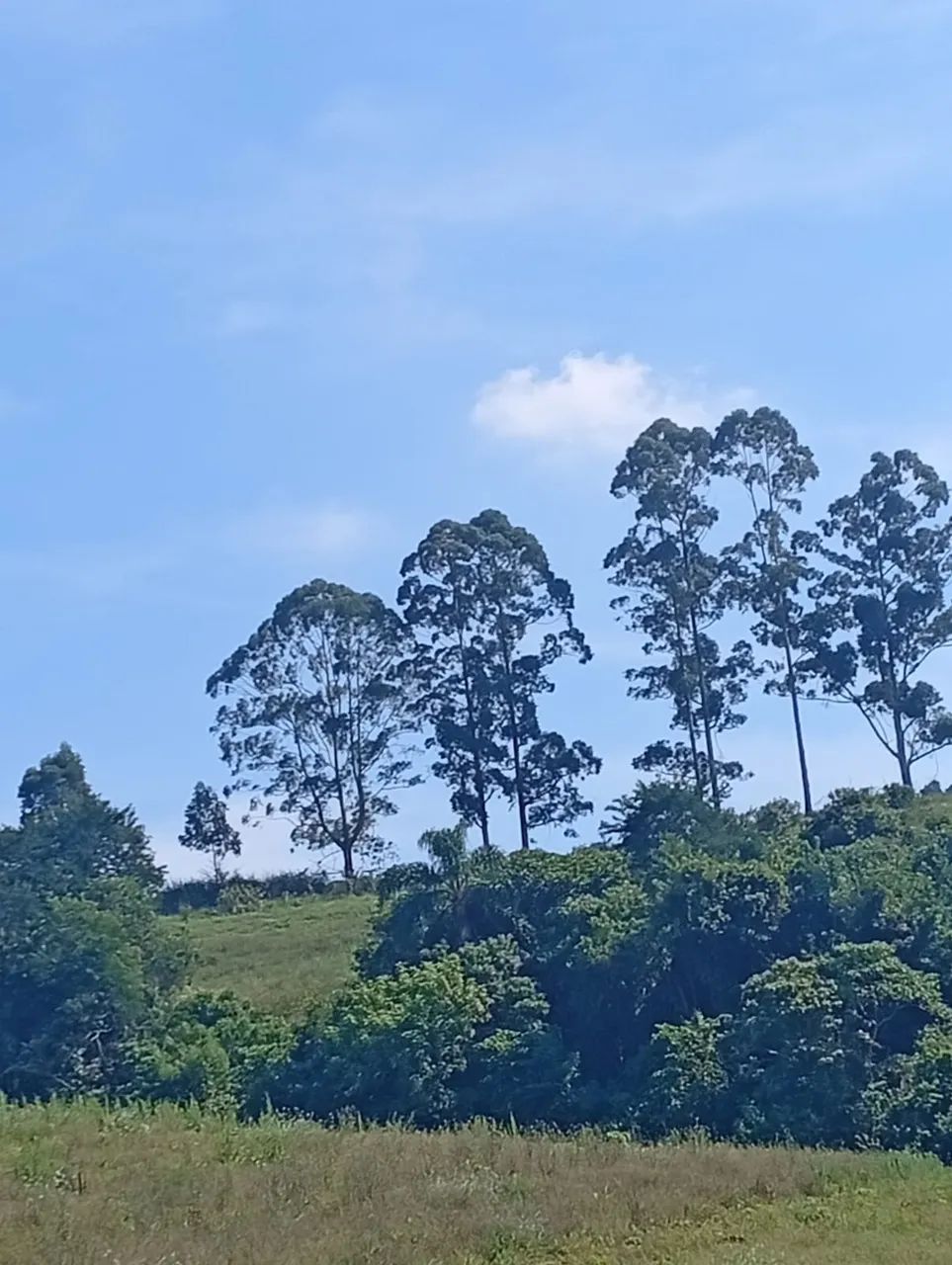 Chácara ou Casa de Campo? Você Decide com 500m² em Ibiúna! - Foto 3