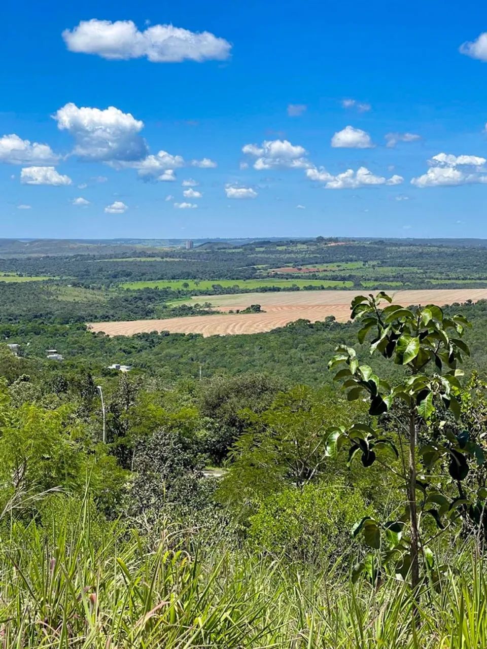 Lote 1.960m Residencial Santa Monica Vista deslumbrante! Terreno 100% regular Brasília DF - Foto 4