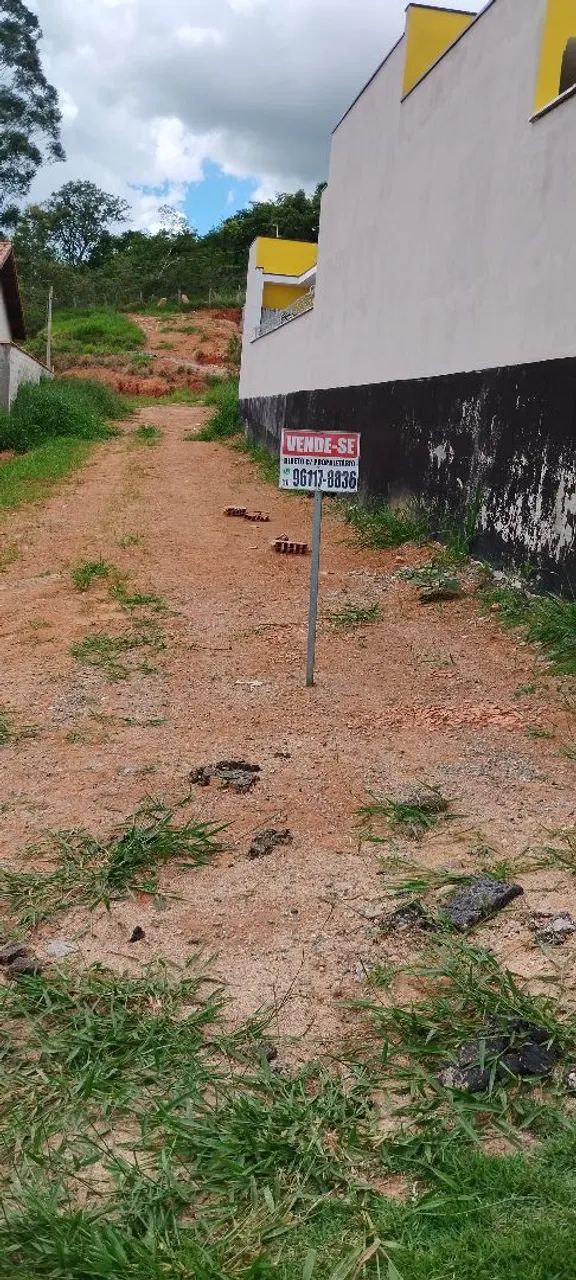 Foto - Pinhalzinho - 