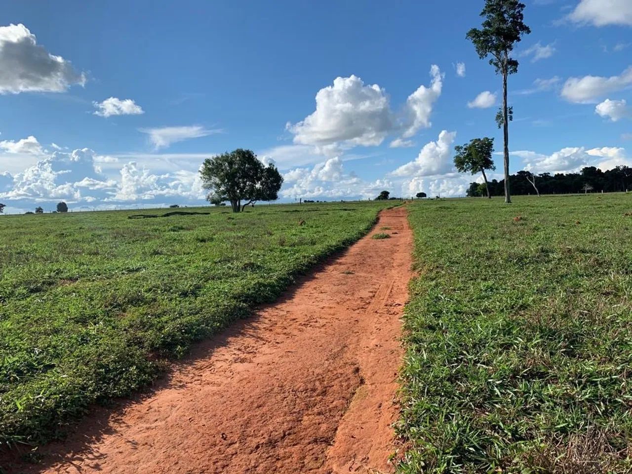 Fazenda 404 ha em Gaúcha do Norte-MT