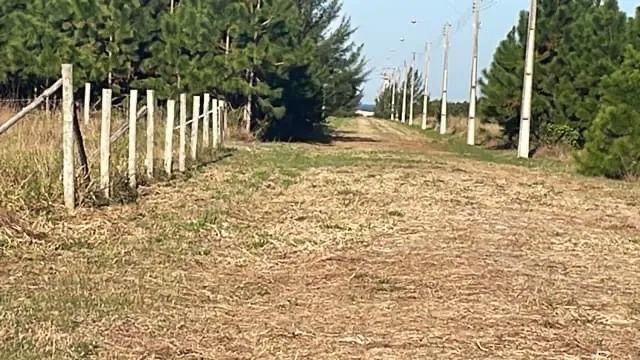 Terreno na Bellatorres, Passo de Torres, SC. - Foto 3