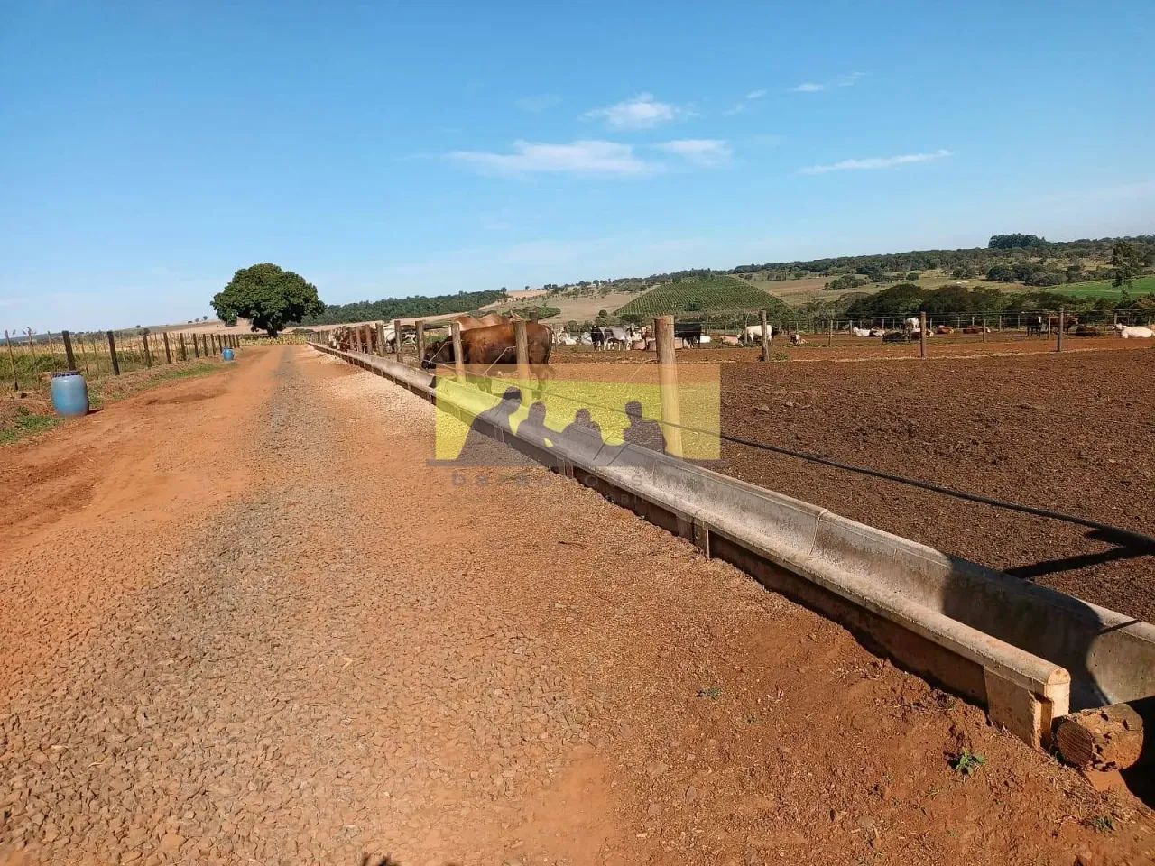 Fazenda em produção à venda, Avaré SP - Foto 3
