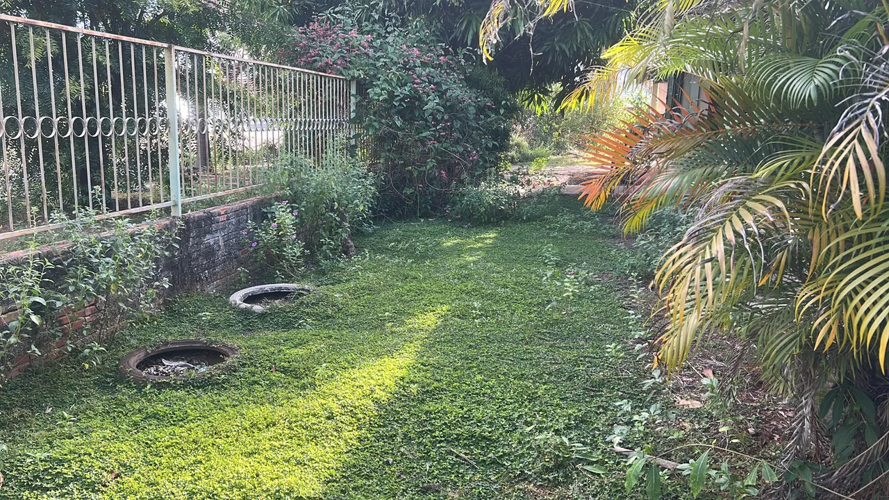 Terreno grande alto padrão