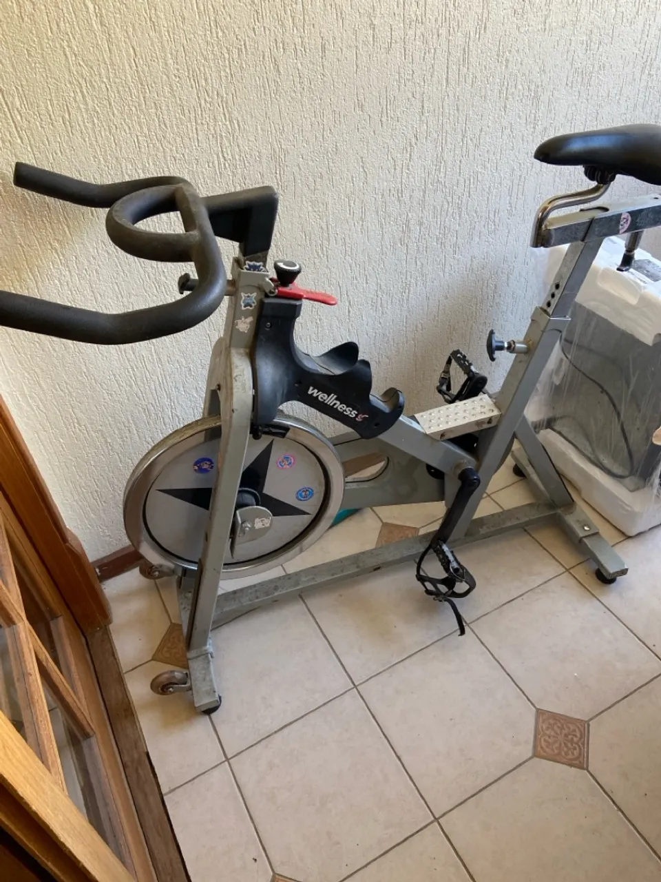 Bicicleta ergométrica