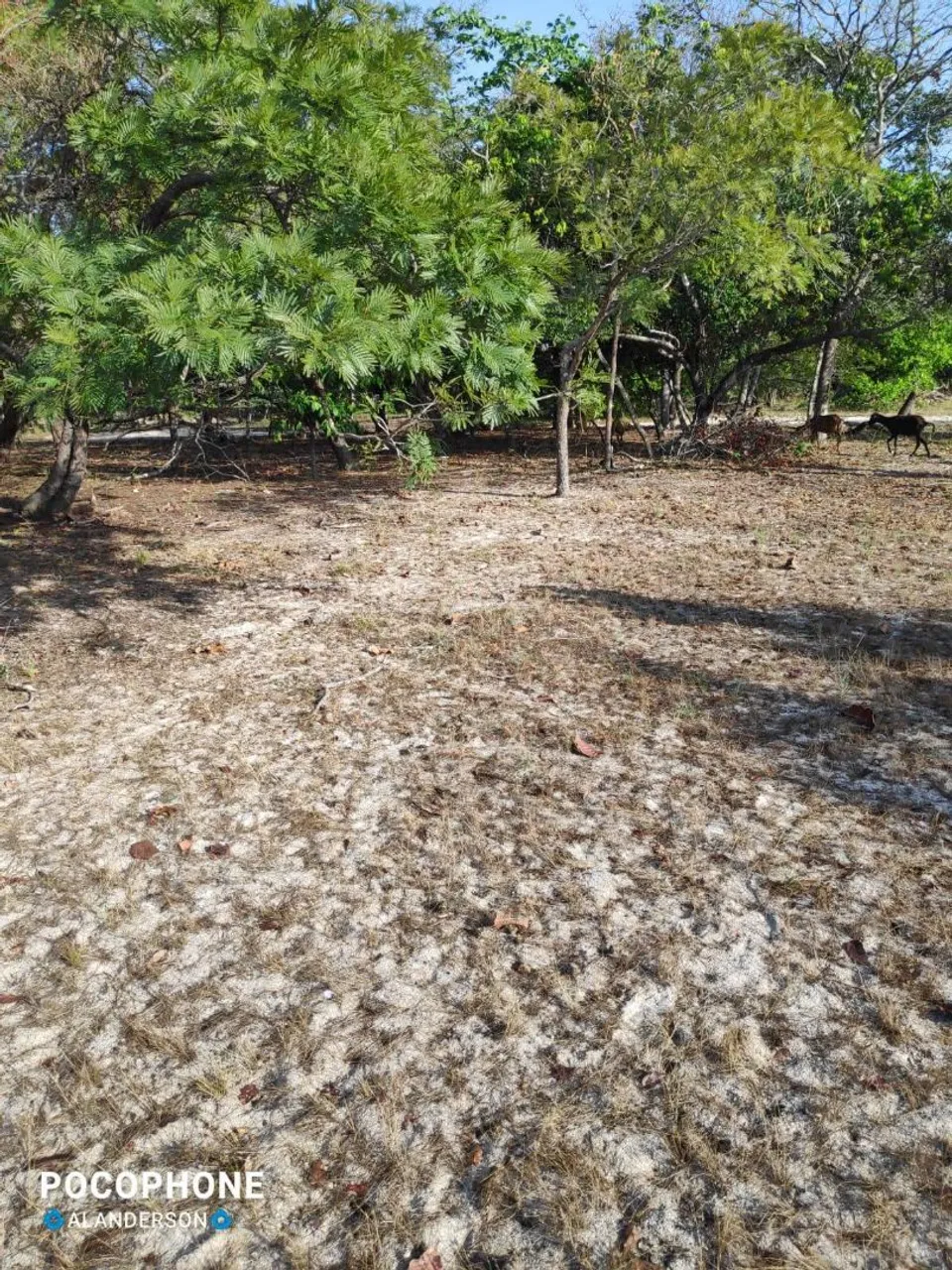 Terreno em Pau Darco, bem localizado