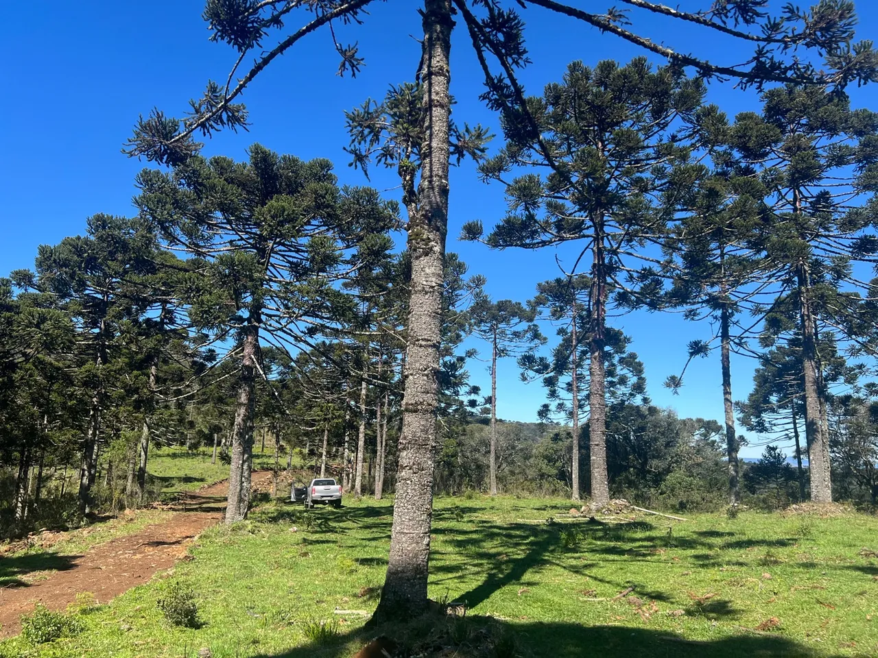 Sítios em Painel - Serra Catarinense! 30%+48X