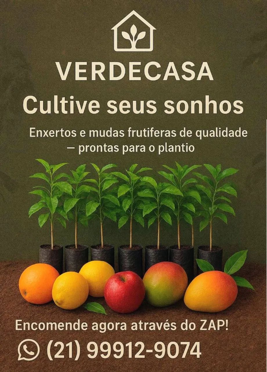 Enxertos e Mudas 64298580744577120