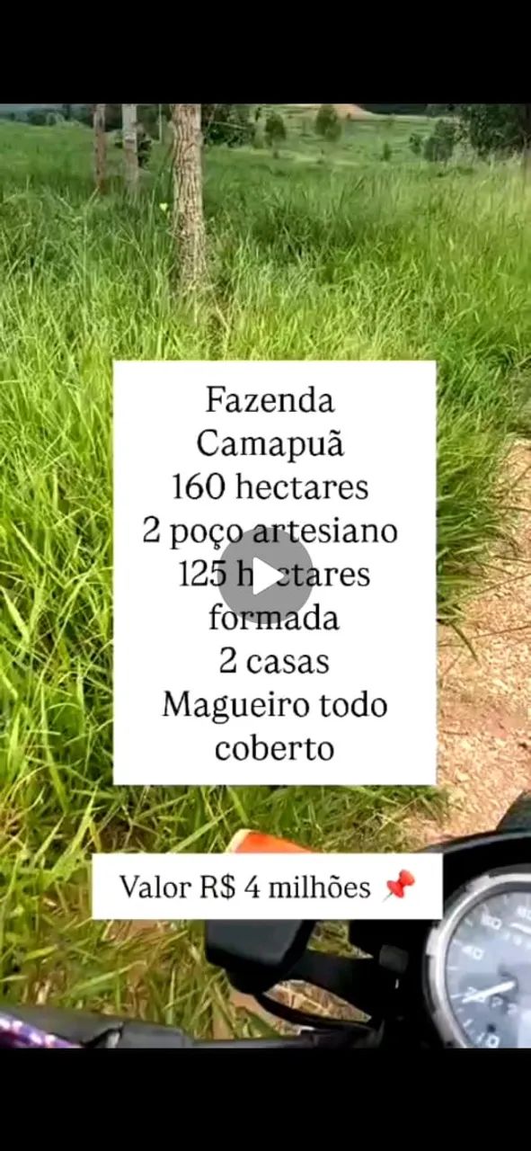 Fazenda em Camapuã 160ha