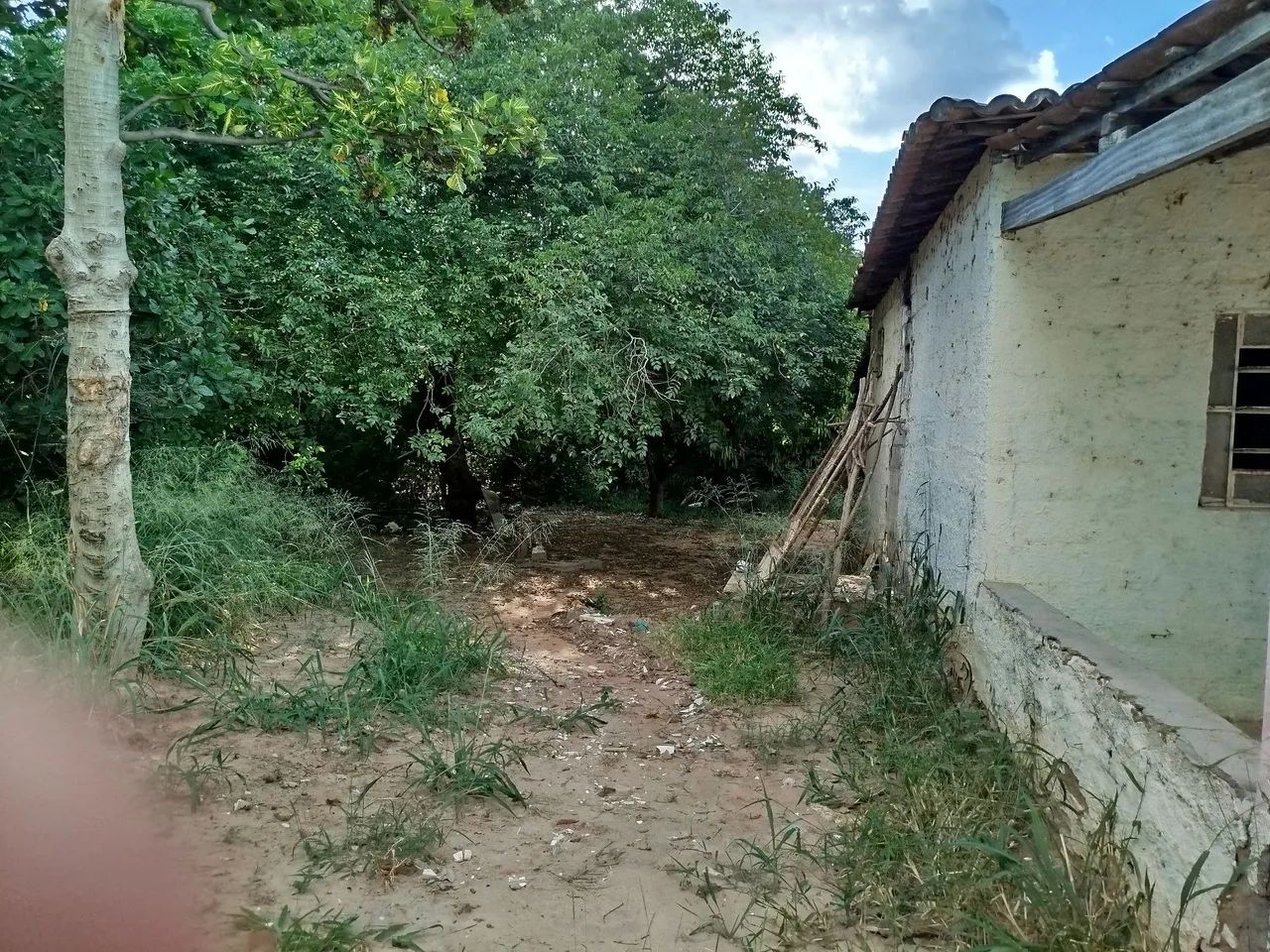 Vendo 02 Tarefas já com Casa construída. - Foto 4