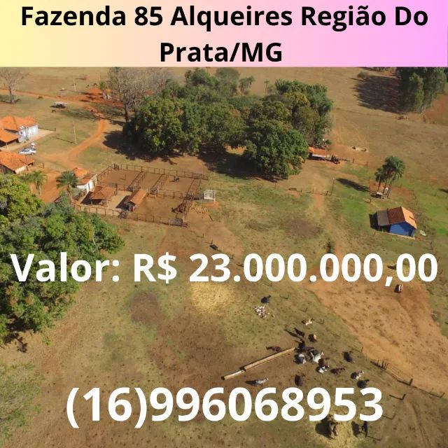 Fazenda 411 Hectares Região Do Prata/MG 