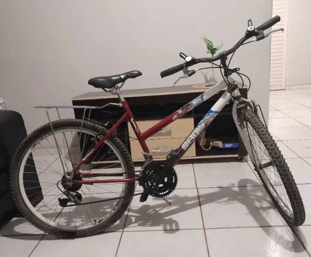 Bicicleta adulto