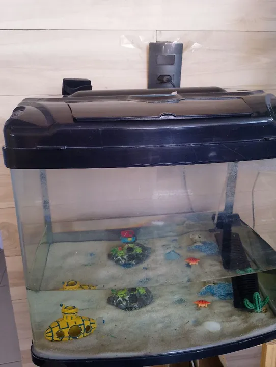 Aquário de Peixes para Decoração