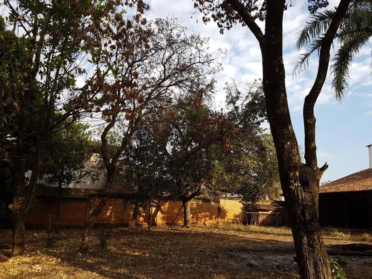 Lote/Terreno para venda com 1692 metros quadrados em Santa Genoveva - Goiânia - GO - Foto 5